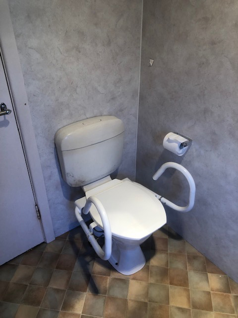 Grab rails, stainless steel, assistive technology